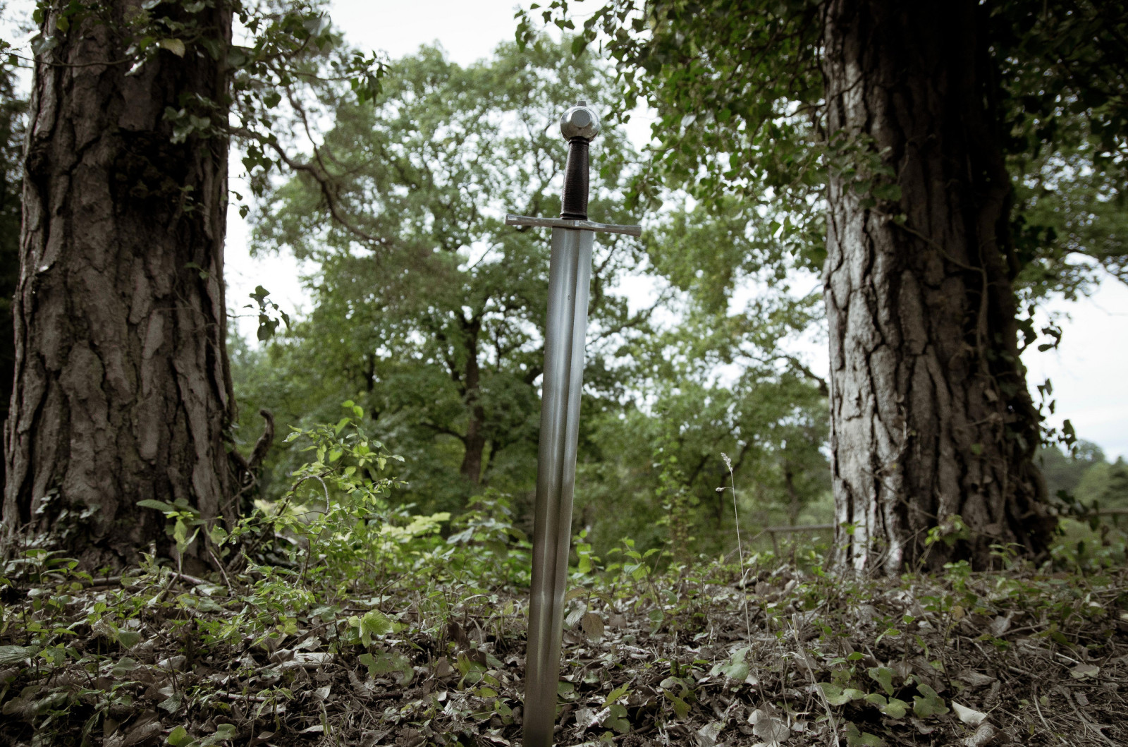 nature, weapons, sword, steel