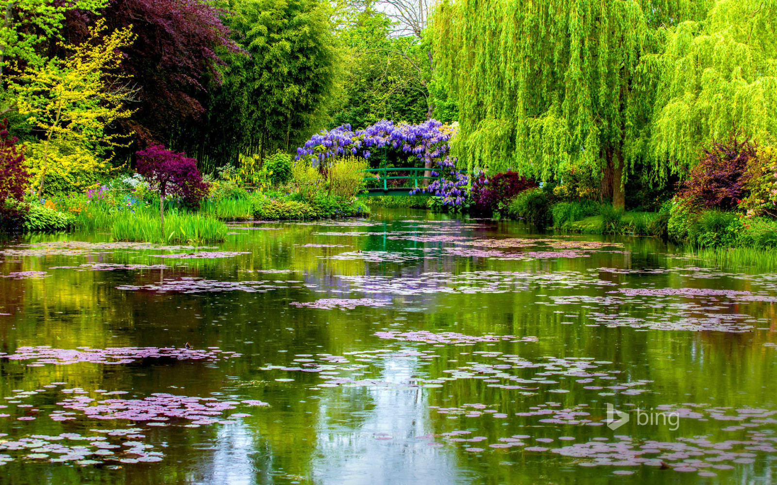 spring, France, Bridge, pond, normandy, Giverny, Monet's garden