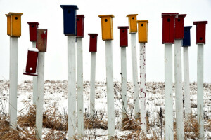 fuglekasser, farget, snø, pinne