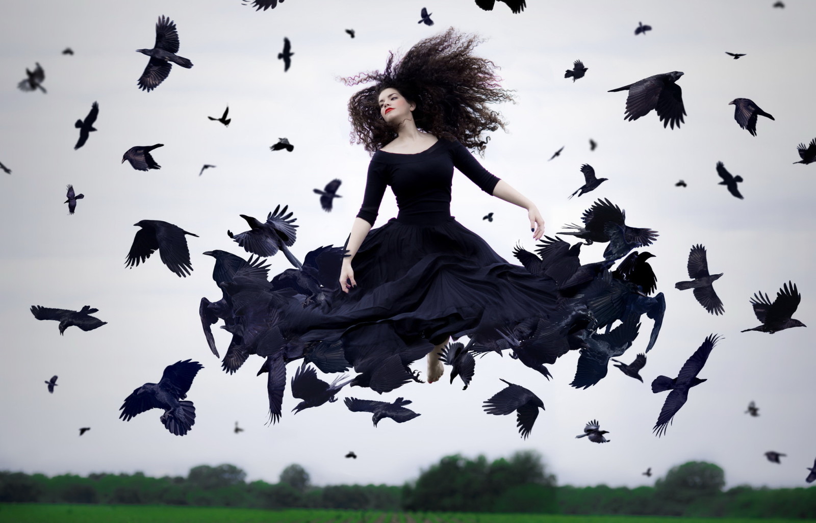 girl, birds, crows