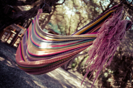 fabric, hammock, nature, stay