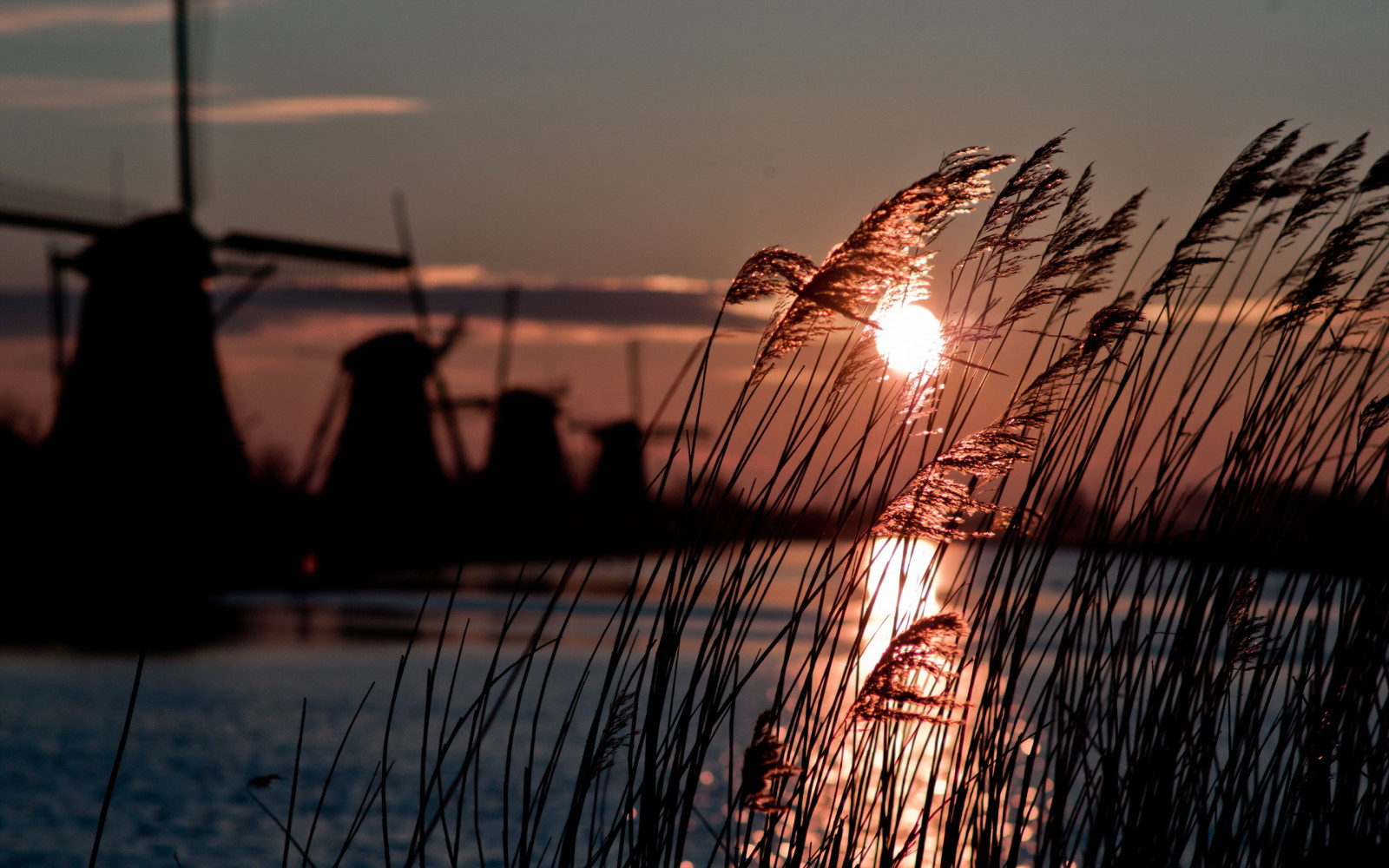 frio, inverno, Sol, MOINHO DE VENTO, Holanda, atmosfera