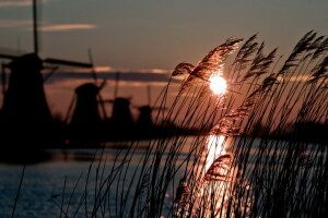 atmosfera, frio, Holanda, Sol, MOINHO DE VENTO, inverno