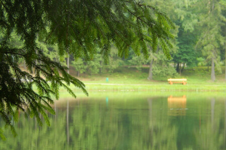 background, bench, full screen, Fullscreen, HD wallpapers, lake, nature, spruce