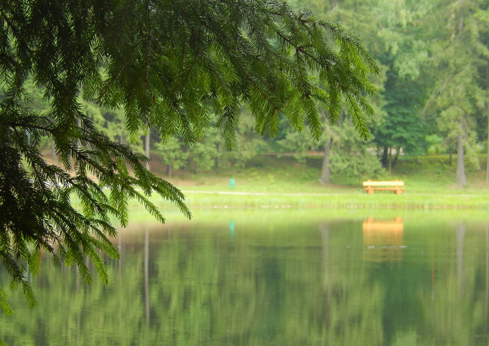 la nature, Contexte, fond d'écran, Lac, LES PAPIERS PEINTS, épicéa, écran large, banc