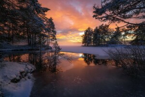 lago, Noruega, reflexão, RINGERIKE, pôr do sol, árvores