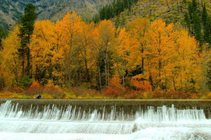 Herbst, Wald, Fluss, Strom, Schwellenwerte, Bäume, Wasserfall