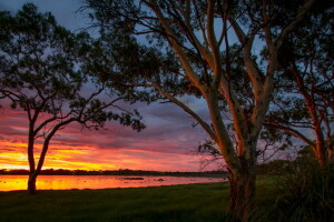 Australien, Stor sump, solnedgang