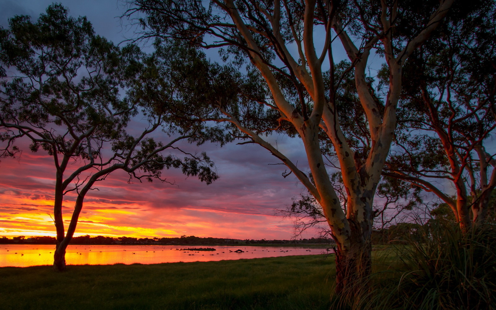 zachód słońca, Australia, Big Swamp