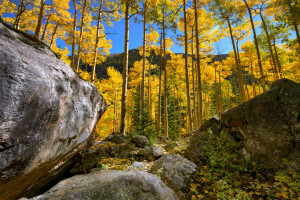 otoño, bosque, arboleda, montañas, rocas, piedras, el cielo, arboles