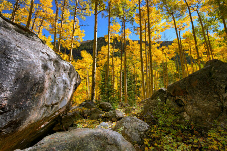 autumn, forest, grove, mountains, rocks, stones, the sky, trees