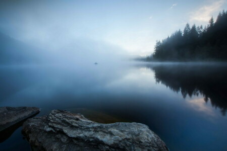 fisherman, fog, forest, lake, morning