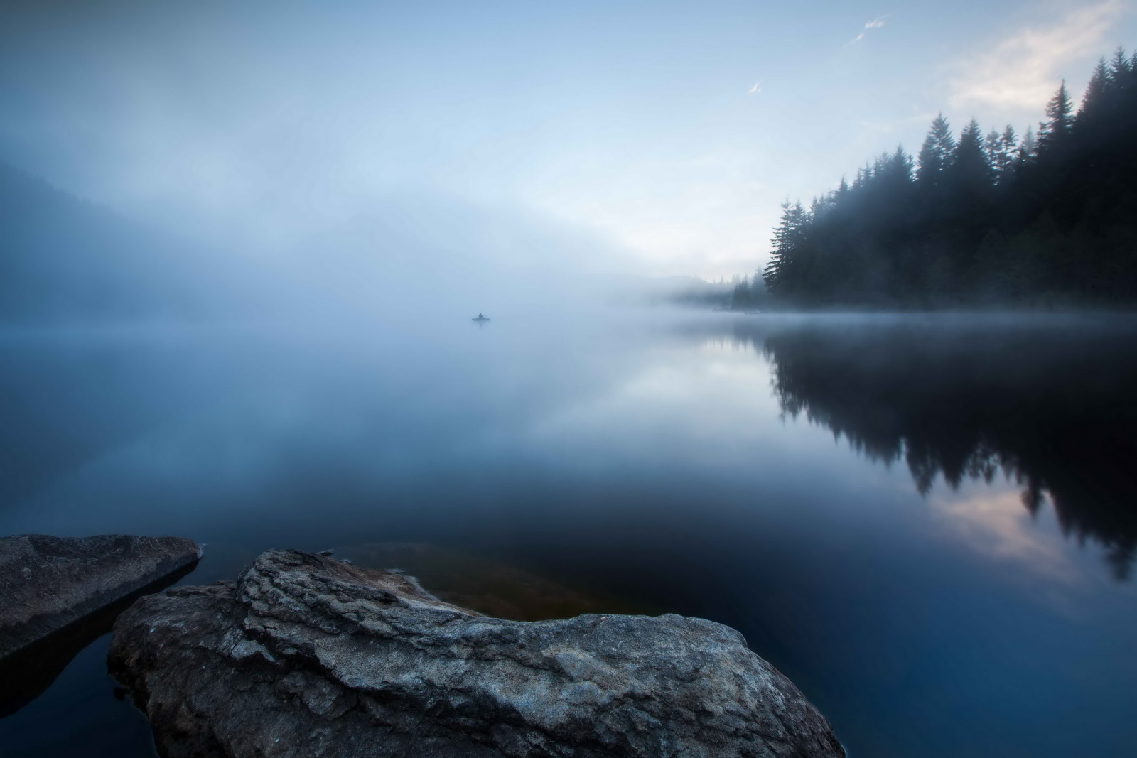 pădure, lac, dimineaţă, ceaţă, pescar