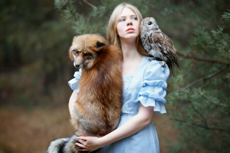 bird, Fox, friends, girl, Julia Kowalska, owl, red