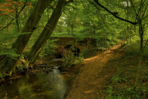 arco, Puente, bosque, río, arboles