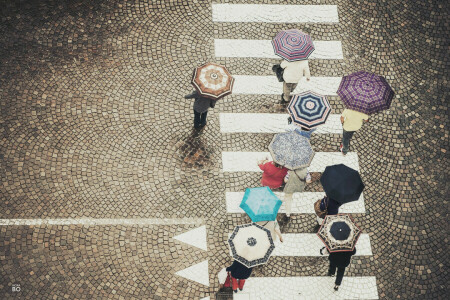 zebrapad, mensen, straat, paraplu's, wandelen