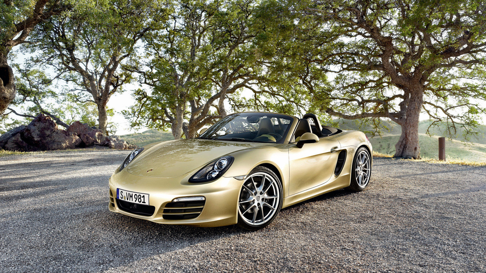 Porsche, Cabrio, Nackenrolle, Boxster