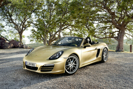 Nackenrolle, Boxster, Cabrio, Porsche