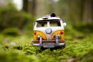 auto, forest, grass, greens, in the grass, Kim Leuenberger, Machine, macro