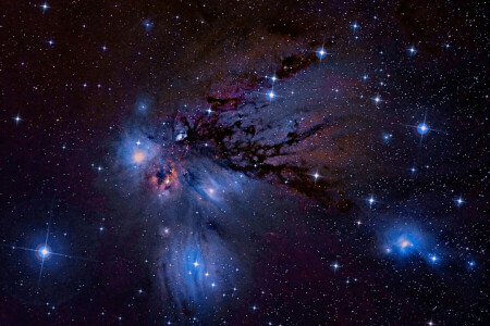 in the constellation, nebula, NGC-2170, reflecting, unicorn