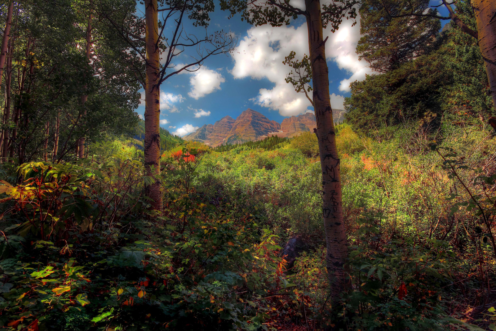 il cielo, alberi, nuvole, montagne, i cespugli, boschetti