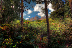 nubes, montañas, los arbustos, el cielo, matorrales, arboles