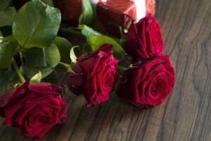 Geschenk, Liebe, rot, rote Rosen, romantisch, Rosen, Valentinstag