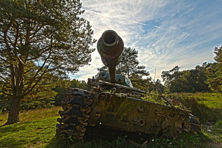 Ejército, tanque, armas