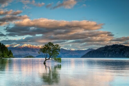 lago, montañas, naturaleza, árbol