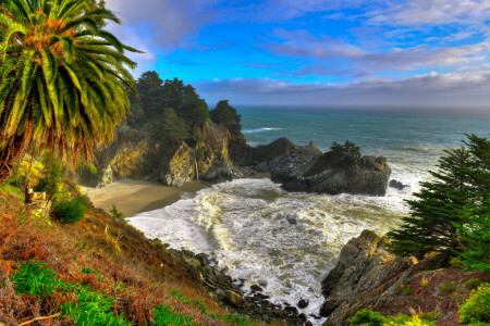 California, Palma, rocas, mar, el cielo, Estados Unidos, cascada