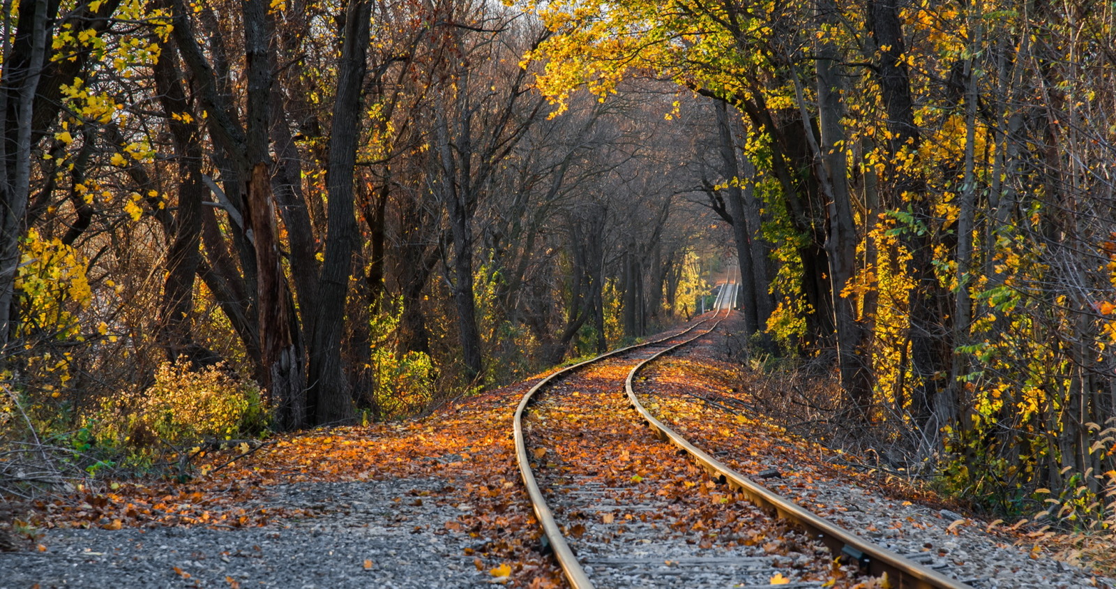 осень, природа, железная дорога