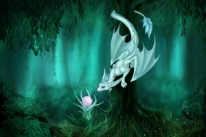 art, curiosity, dragon, Fiction, forest, look, plant, tail