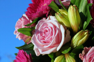 bouquet, flowers, Lily, roses