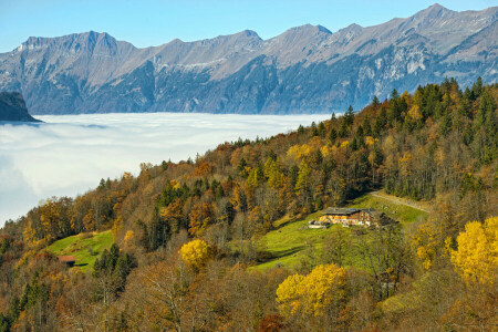 autumn, clouds, forest, glade, Hasliberg, house, mountains, Switzerland