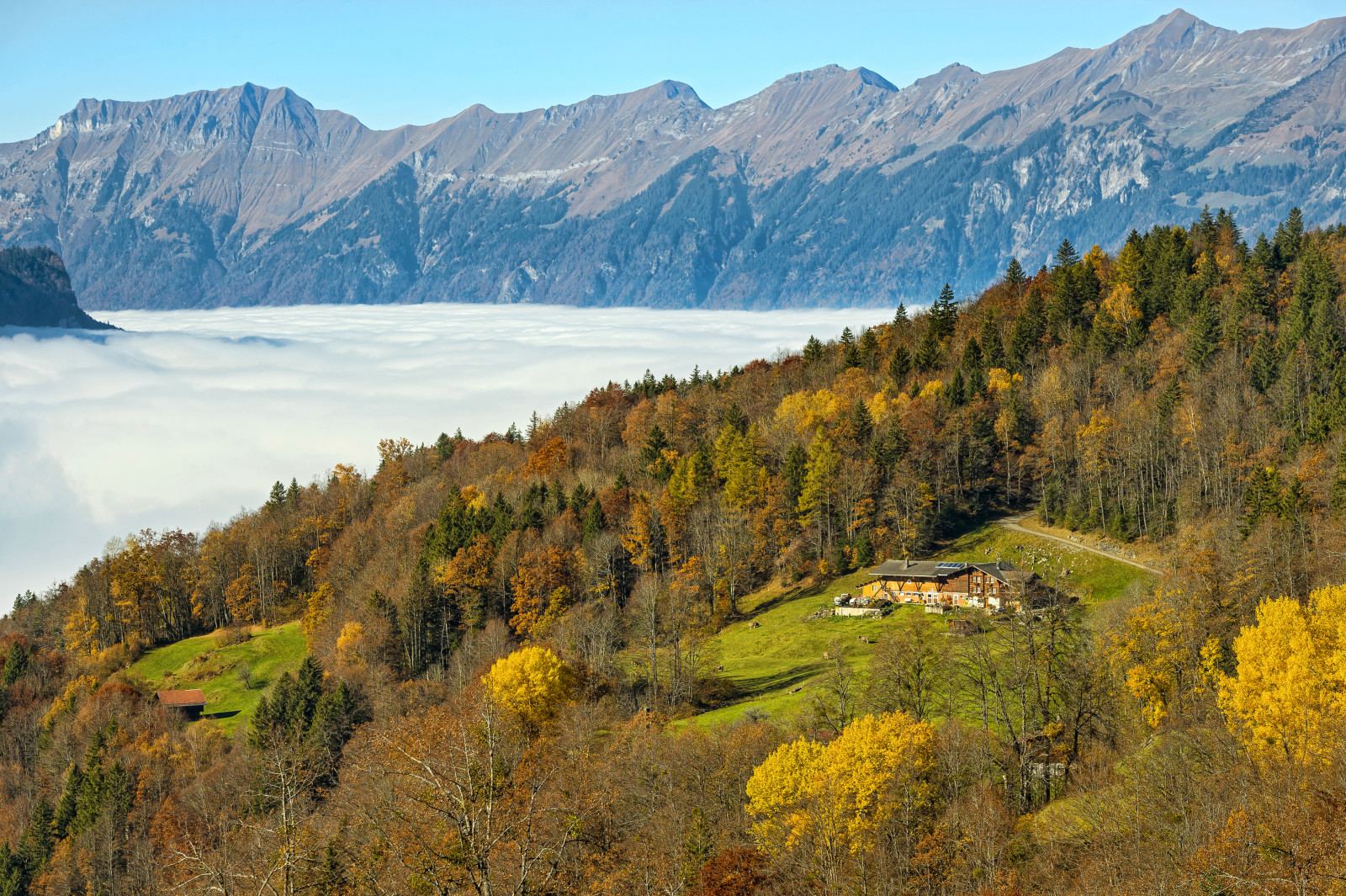 otoño, bosque, casa, Suiza, arboles, nubes, montañas, claro