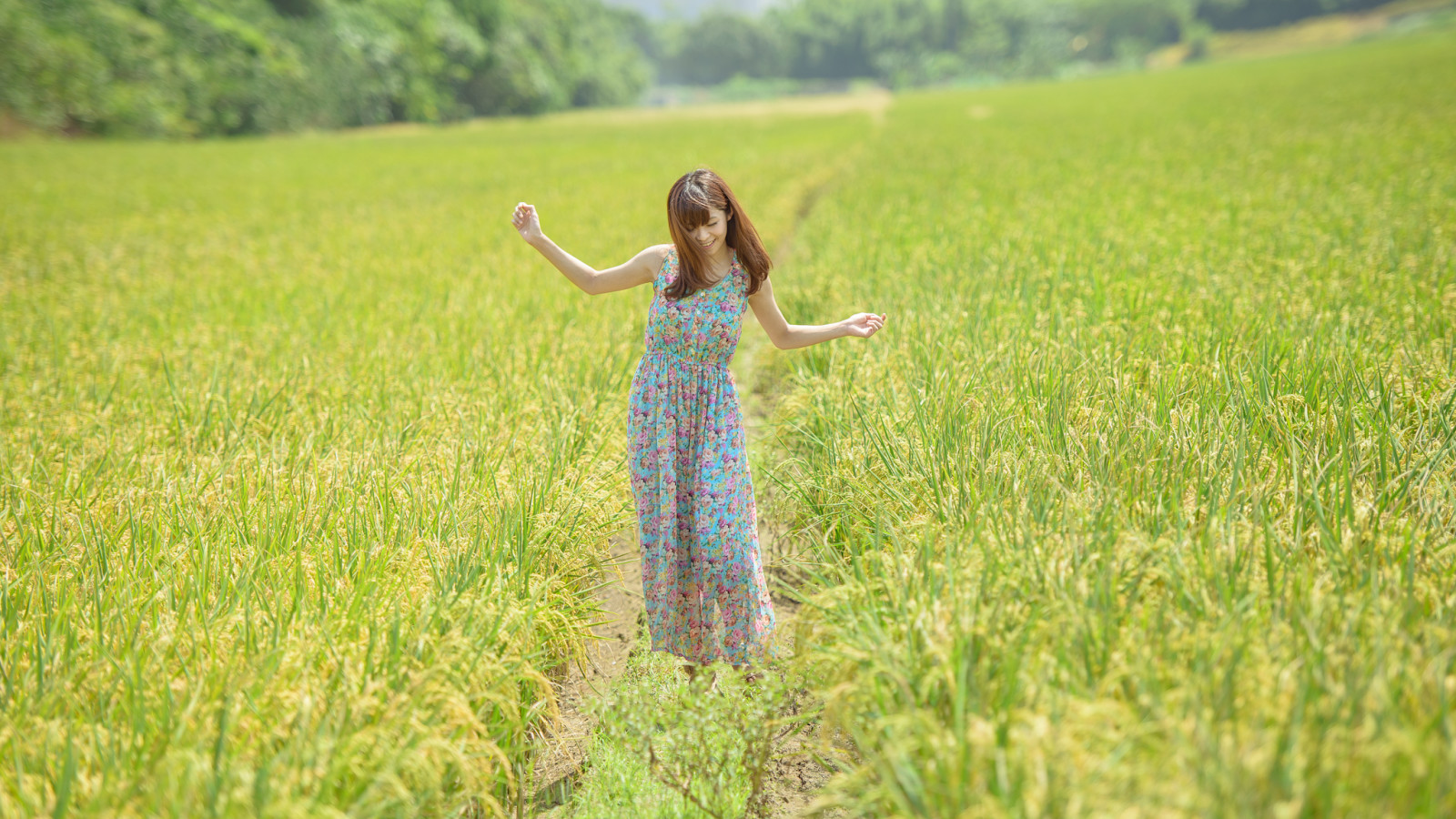 Wald, Gras, Mädchen, Feld, Kleid, lächelnd