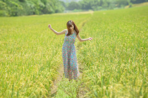 robe, champ, forêt, fille, herbe, souriant