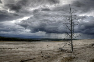 nature, Yellowstone national Park