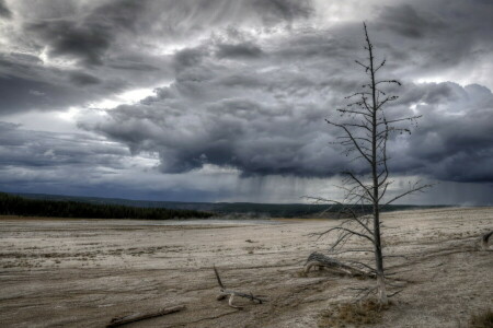 natureza, Parque nacional Yellowstone