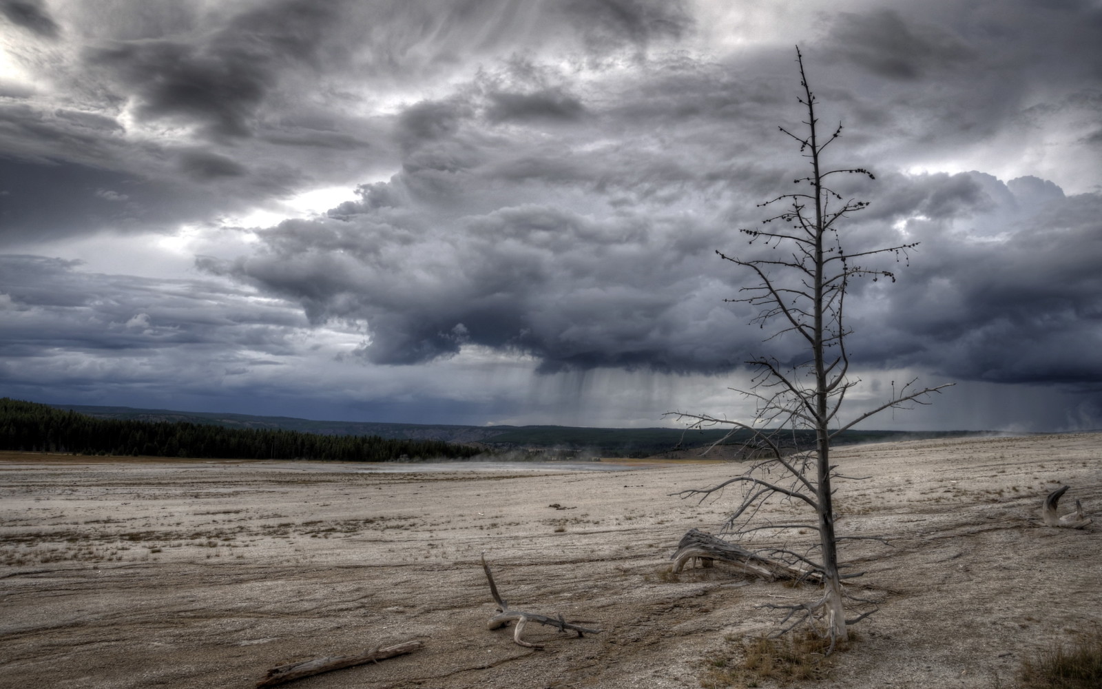 príroda, Yellowstonský národný park