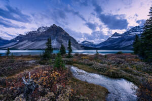 Alberta, Banff National Park, Bow Lake, kanada, gräs, sjö, bergen, ström