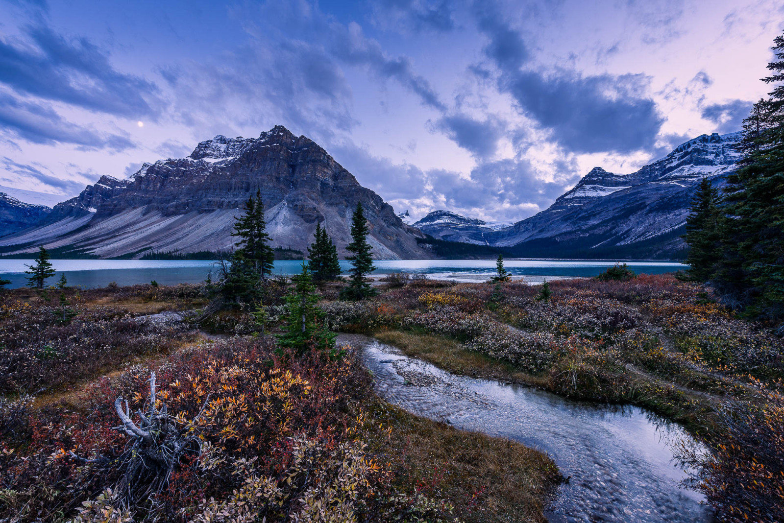 græs, aftenen, sø, træer, Canada, Alberta, bjerge, Banff Nationalpark