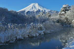 Fuji, Japonya, Dağ, doğa, nehir, kar, gökyüzü, ağaçlar