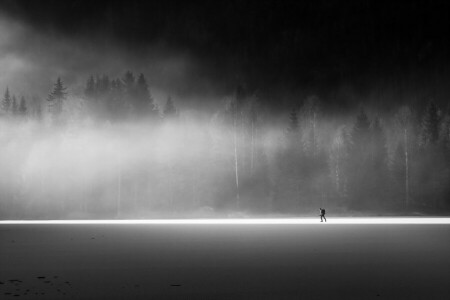 campo, nebbia, persone