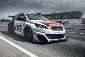 2016, 308, Peugeot, Race, Racing Cup