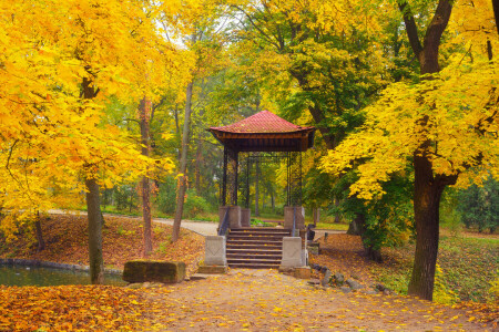 jesień, balkon, pozostawia, Park, drzewa