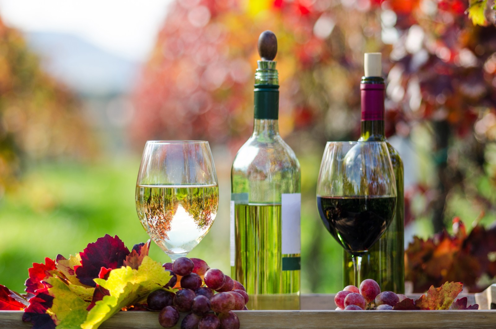 Herbst, rot, Weiß, Blätter, Wein, Brille, Flasche, Trauben