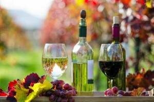 Herbst, Flasche, Brille, Trauben, Blätter, rot, Weiß, Wein