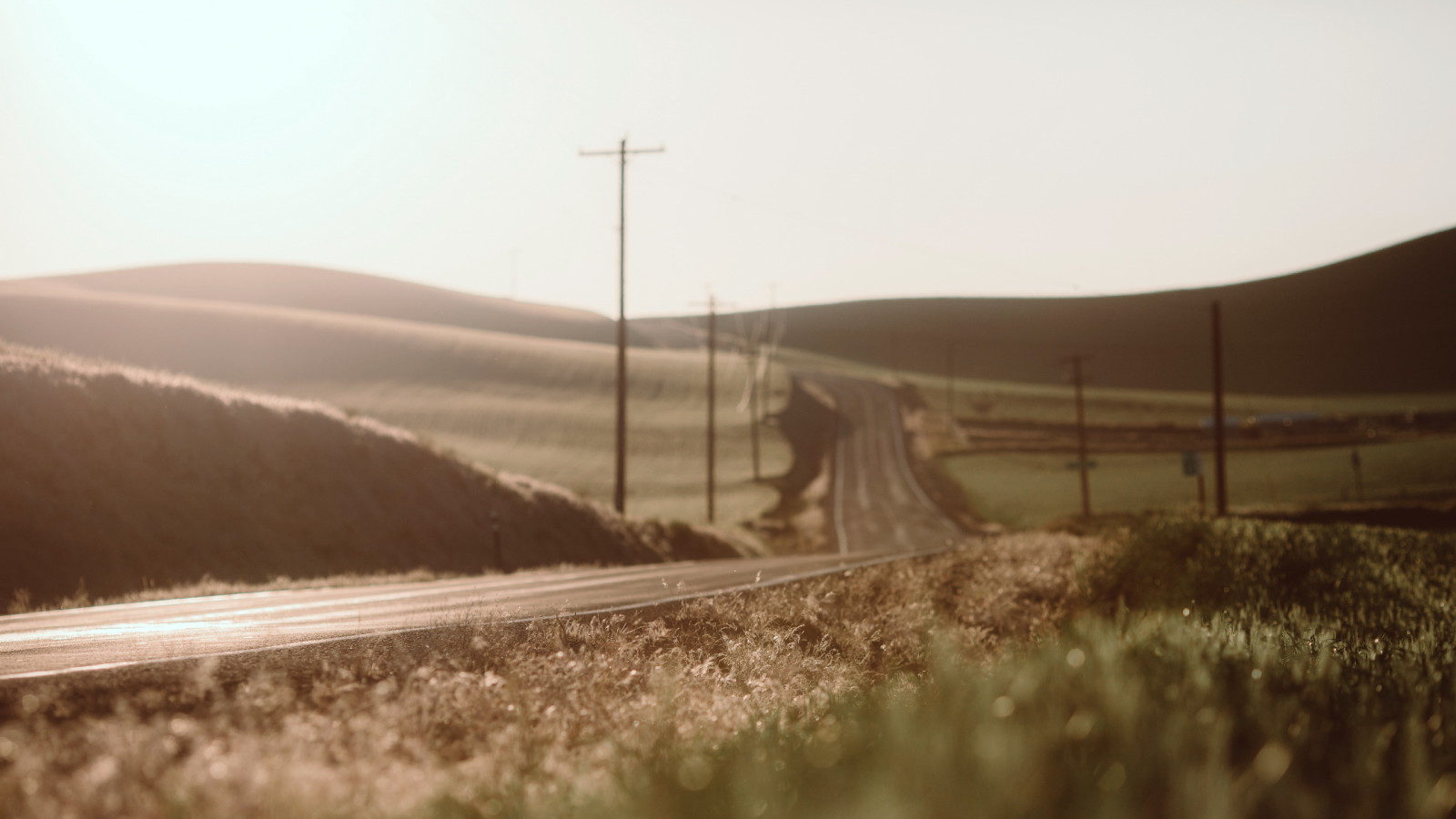 paisaje, la carretera, Mañana