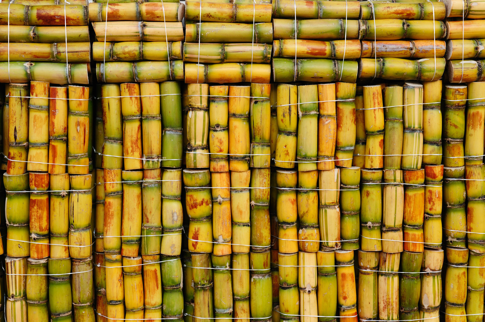 madeira, bambu, cores